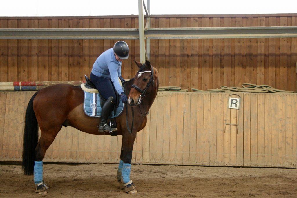 Riding Through Her Award Winning Year With Roosa's Horsey Life