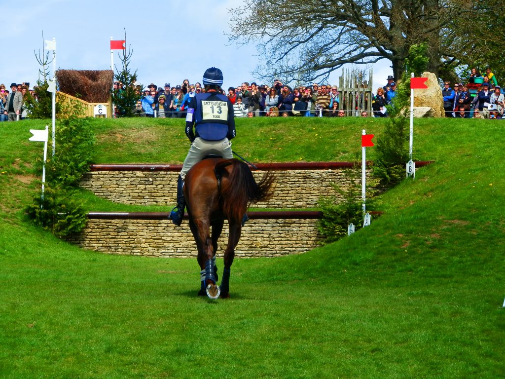 Mark Todd