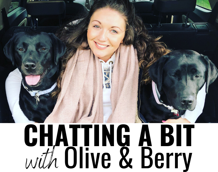 Chatting A Bit with Olive & Berry