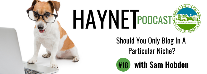 Should You Blog Only In A Particular Niche?