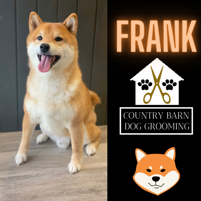 Frank Frank