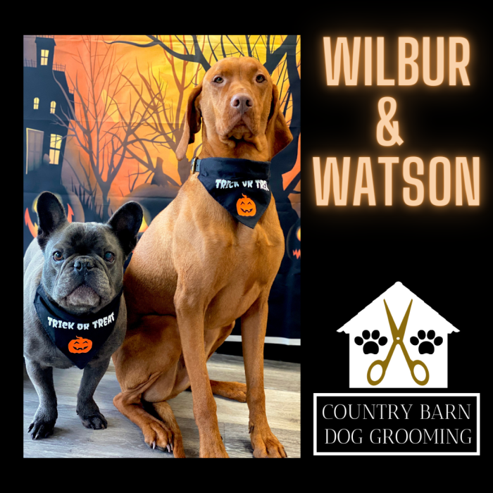 Wilbur & Watson Wilbur & Watson