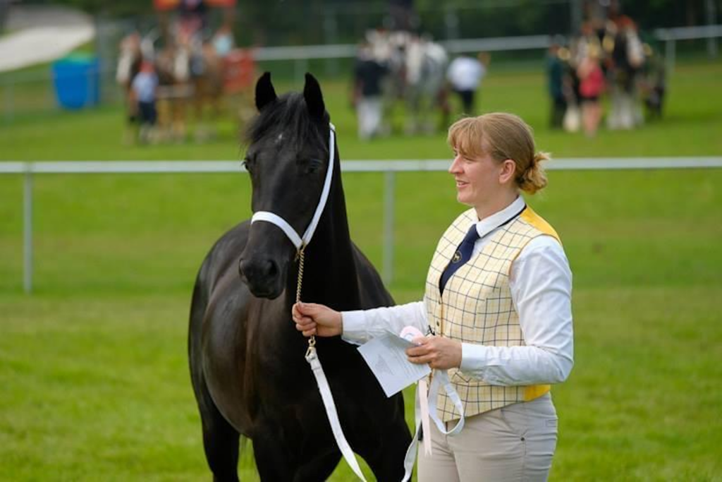 Top Tips for Newcomers to Horse Showing