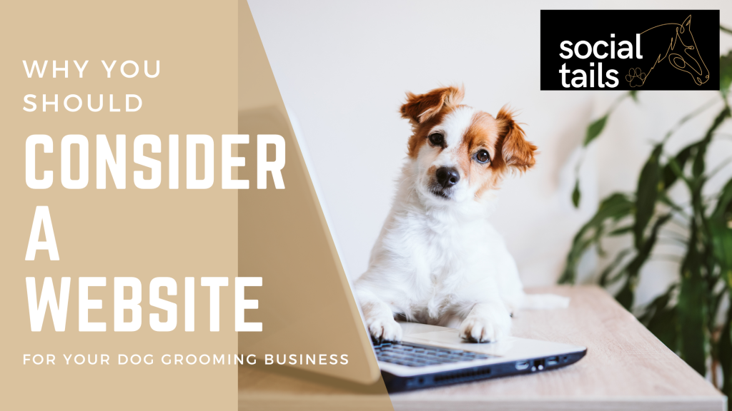 Why You Should Consider a Website for Your Dog Grooming Business